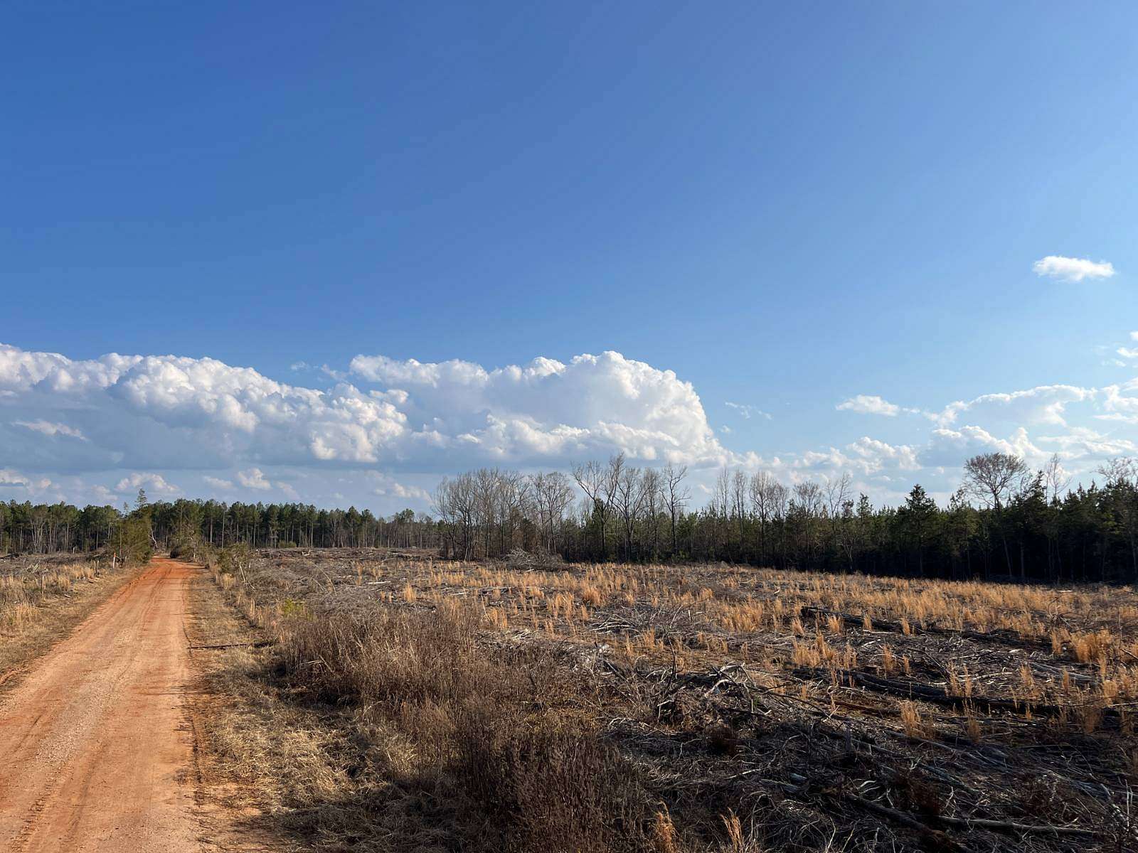 85.8 Acres of Land for Sale in Greenwood, South Carolina