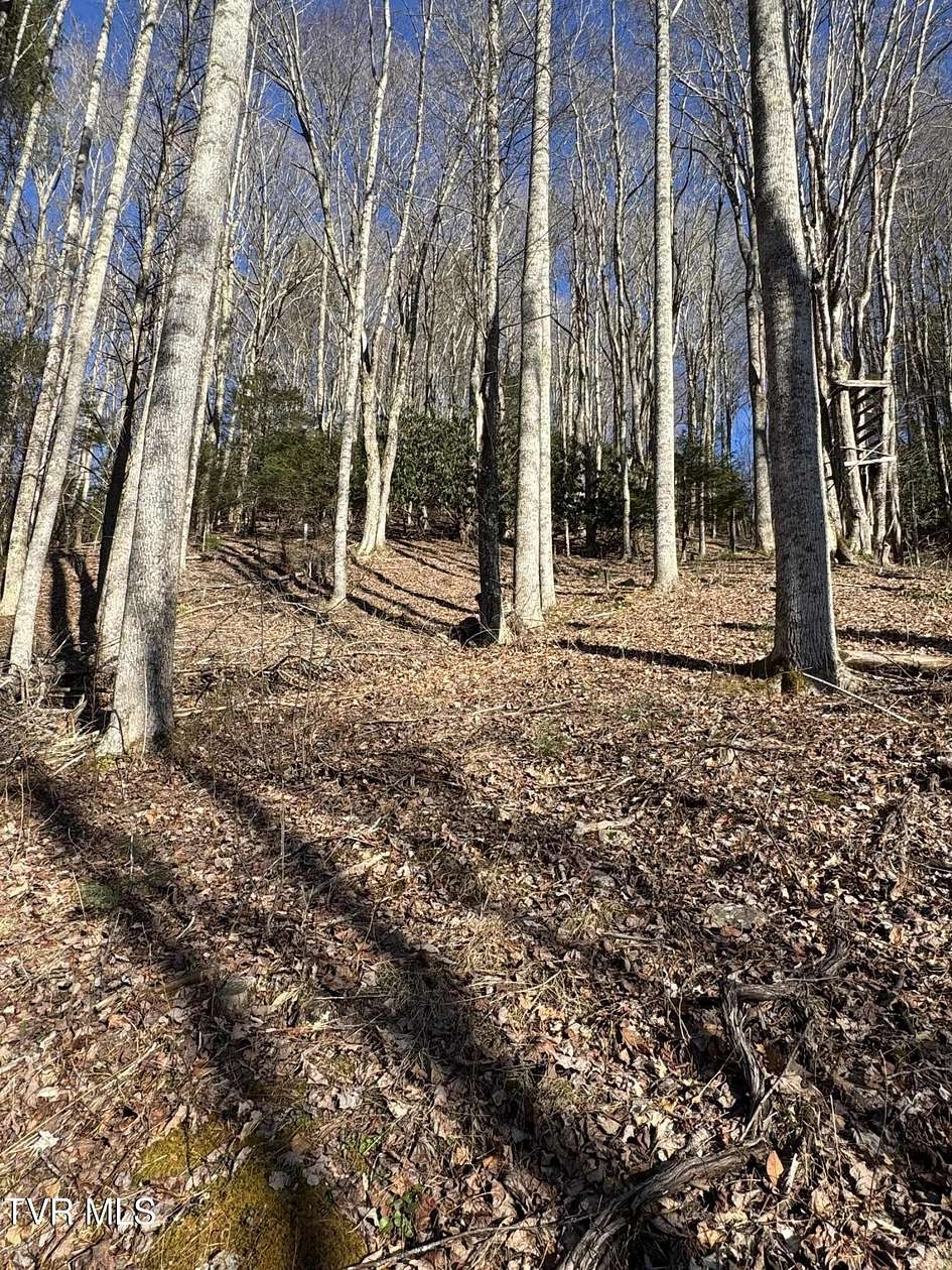 5 Acres of Residential Land for Sale in Mountain City, Tennessee
