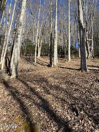 5 Acres of Residential Land for Sale in Mountain City, Tennessee