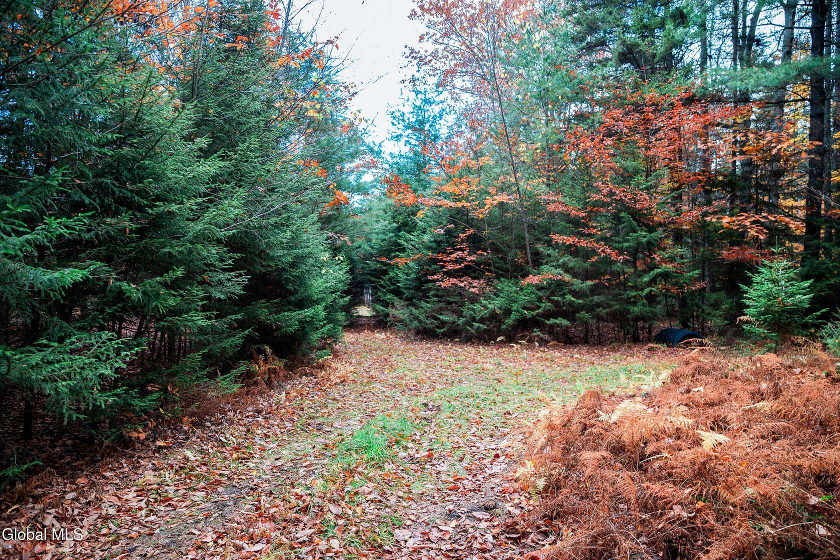 6.69 Acres of Land for Sale in Summit, New York