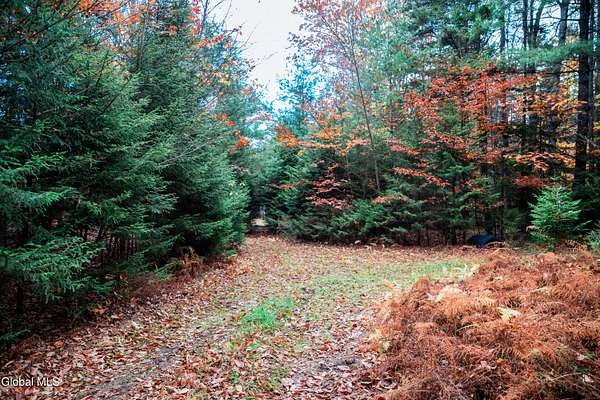 6.69 Acres of Land for Sale in Summit, New York