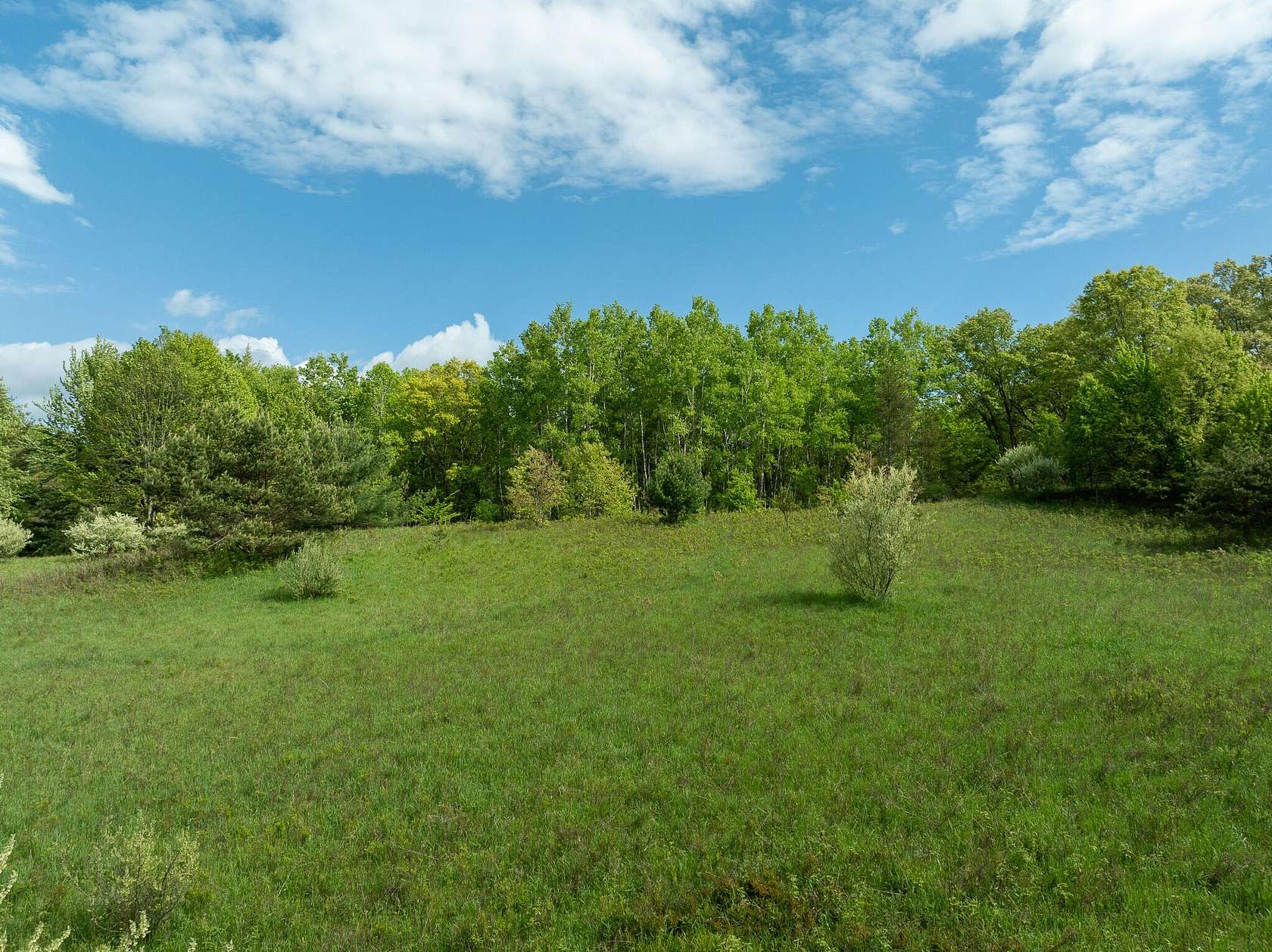 80 Acres of Recreational Land for Sale in Reed City, Michigan