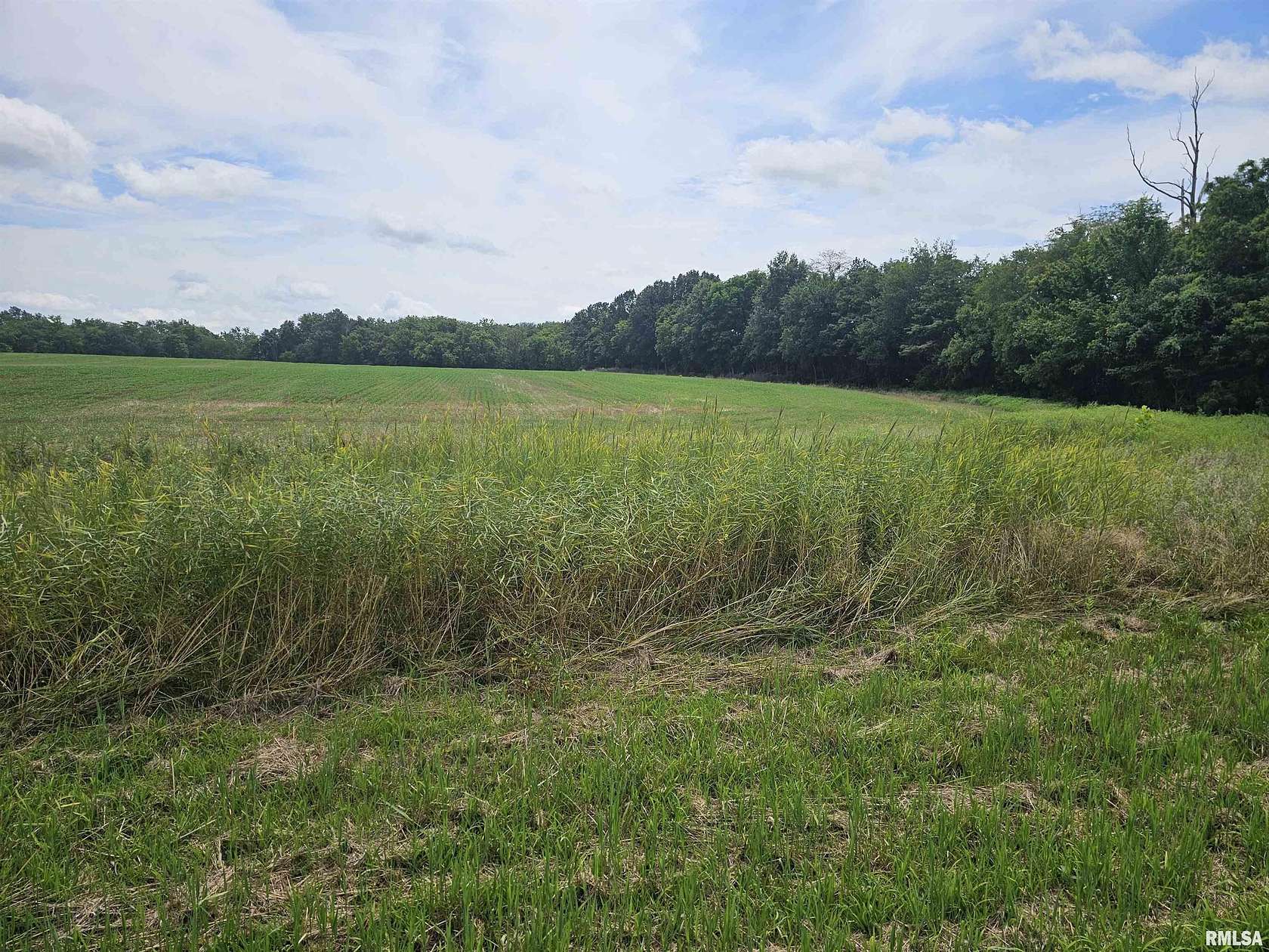 12 Acres of Land for Sale in Sparta, Illinois