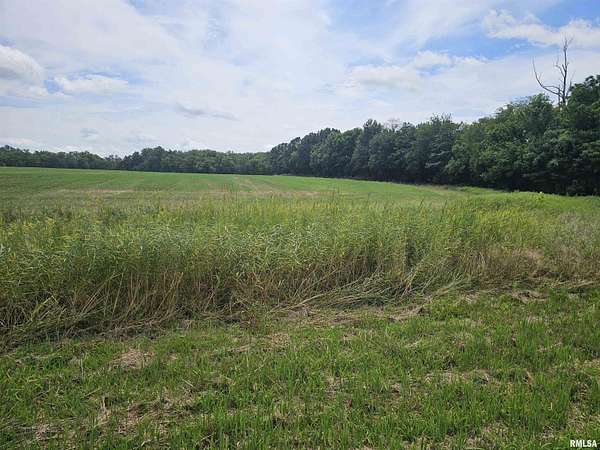 12 Acres of Land for Sale in Sparta, Illinois