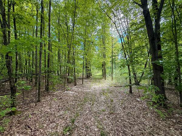 77.2 Acres of Recreational Land for Sale in Reed City, Michigan