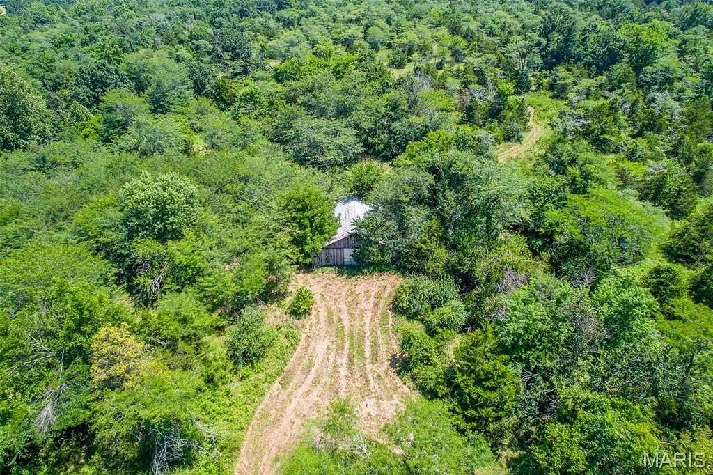 81 Acres of Recreational & Residential Land for Sale in Fredericktown, Missouri