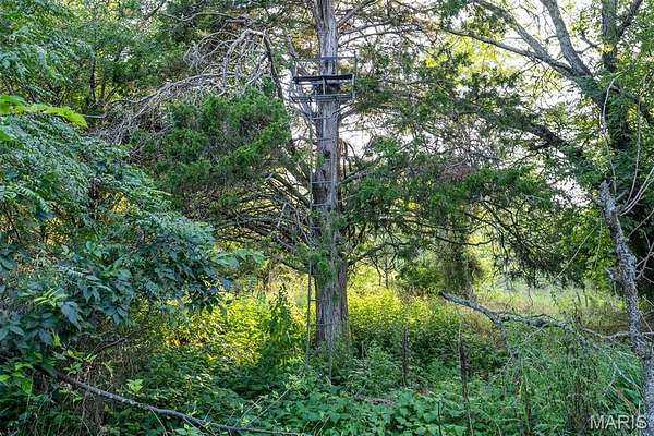81 Acres of Recreational Land for - Fredericktown Mo 145867217