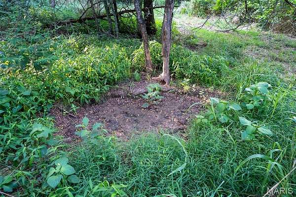 81 Acres of Recreational Land for - Fredericktown Mo 145867234