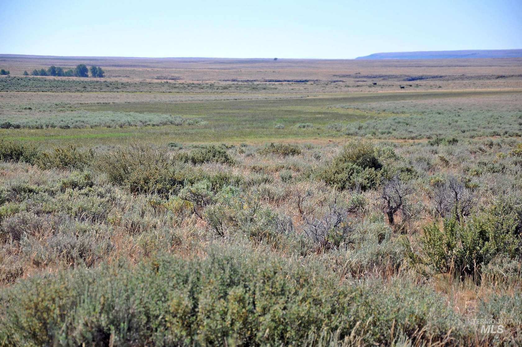 80 Acres of Recreational Land for Sale in Grand View, Idaho