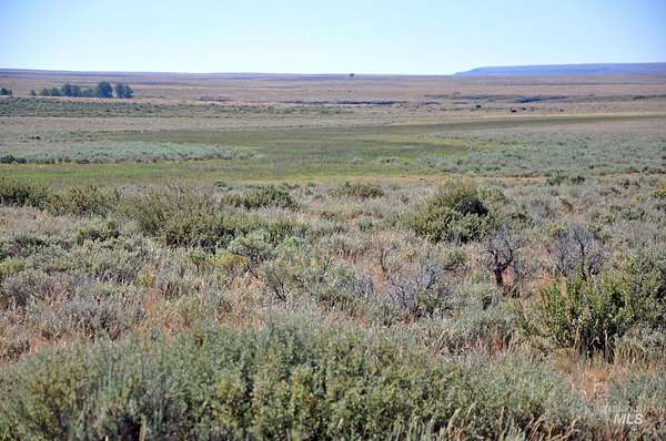 80 Acres of Recreational Land for Sale in Grand View, Idaho