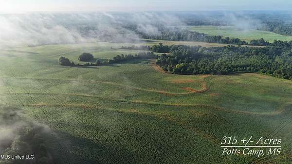 316 Acres of Land for Sale in Potts Camp, Mississippi