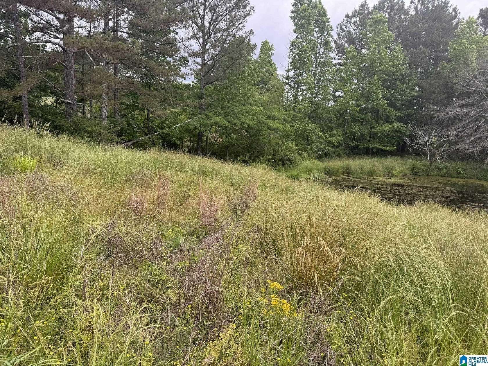 99 Acres of Agricultural Land for Sale in Nauvoo, Alabama