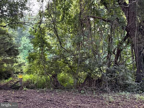 1.37 Acres of Land for Sale in Rockville, Maryland