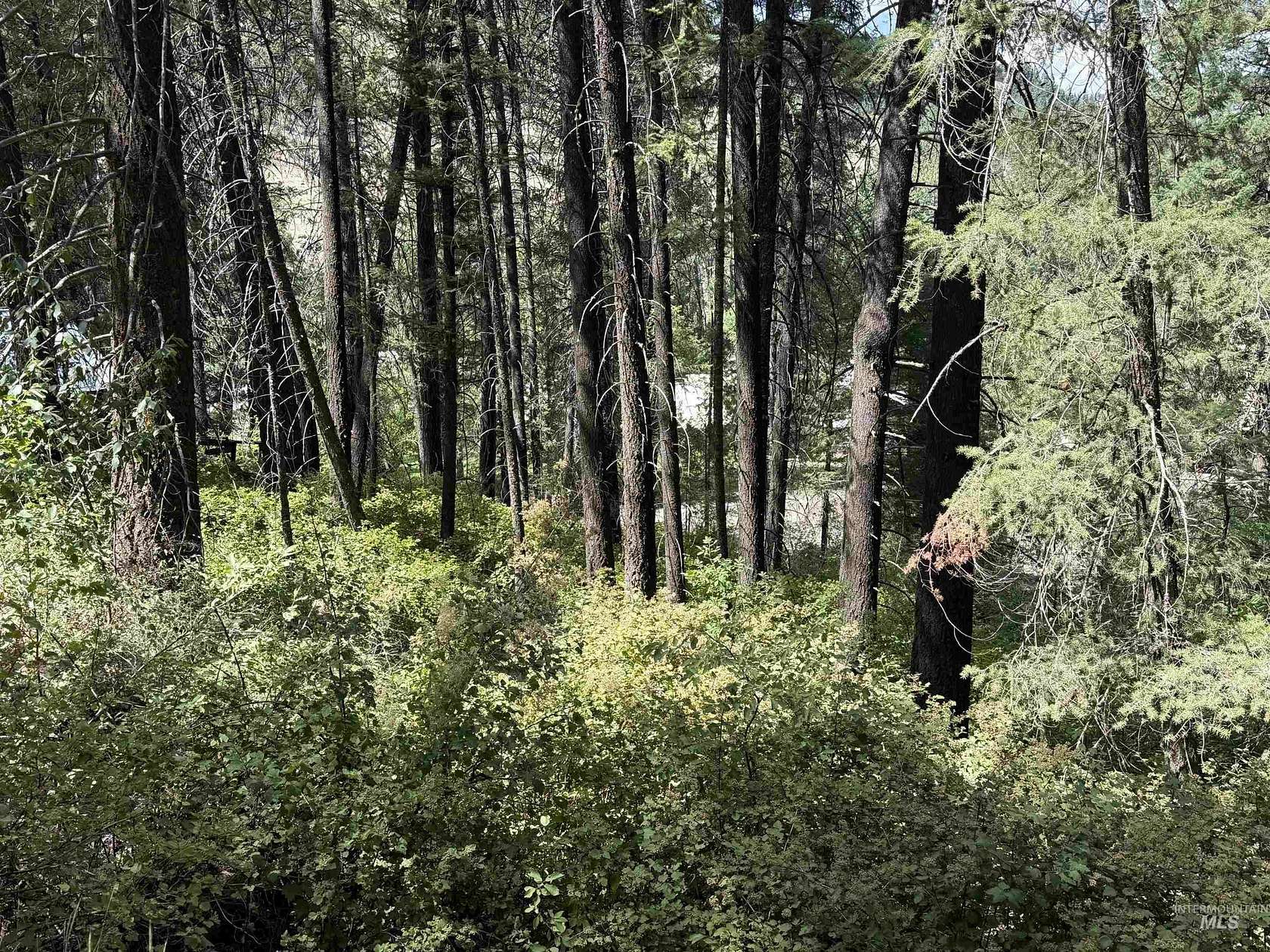 0.09 Acres of Land for Sale in Council, Idaho