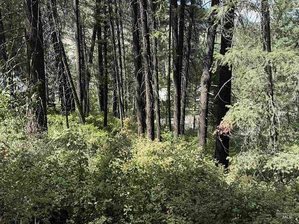 0.09 Acres of Land for Sale in Council, Idaho