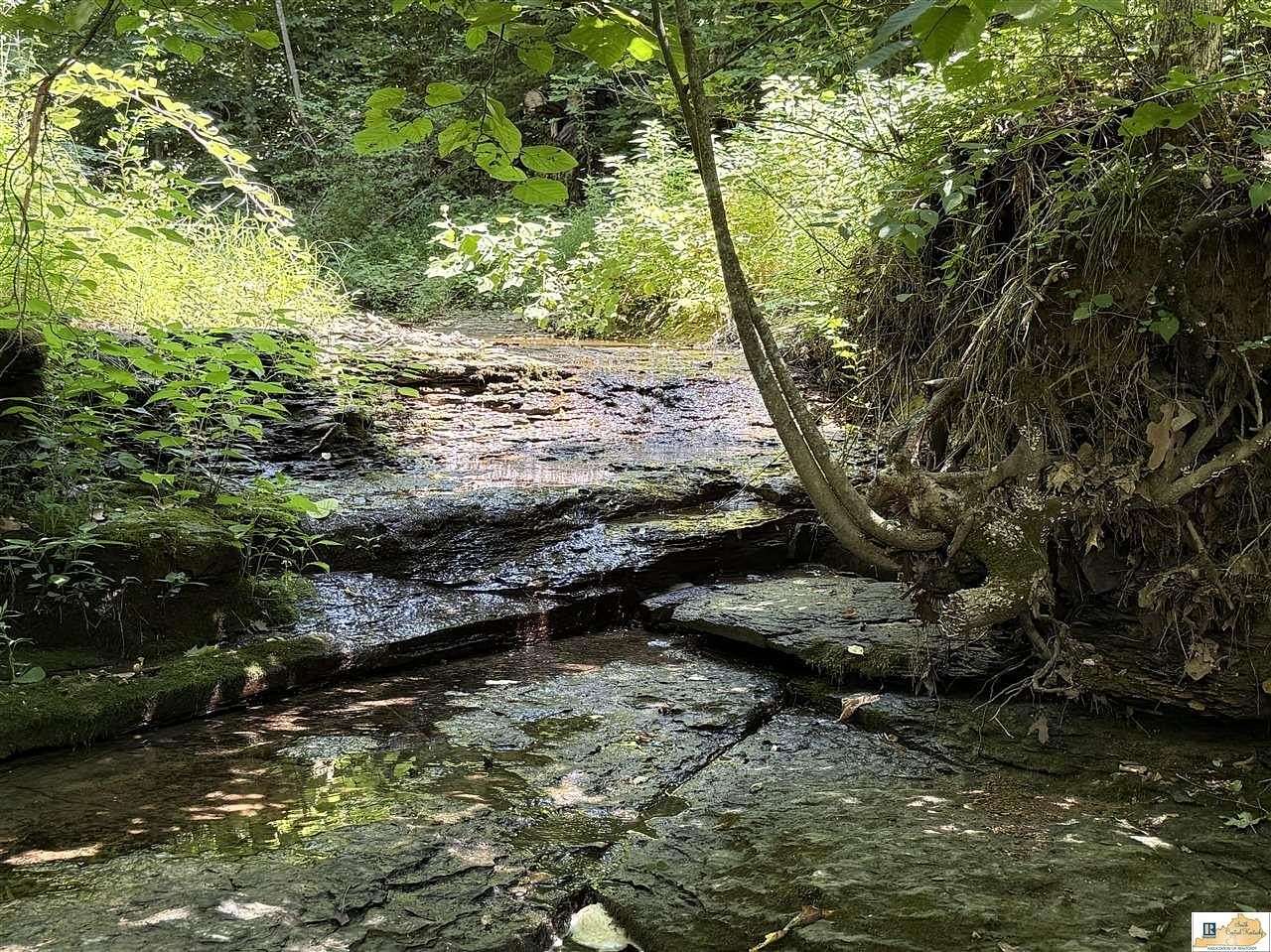 106 Acres of Recreational Land & Farm for Sale in Breeding, Kentucky