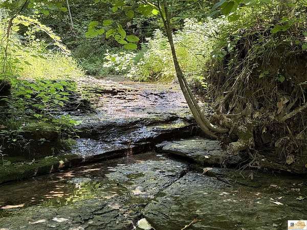 106 Acres of Recreational Land & Farm for Sale in Breeding, Kentucky