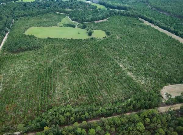 87 Acres of Land for Sale in Barnwell, South Carolina