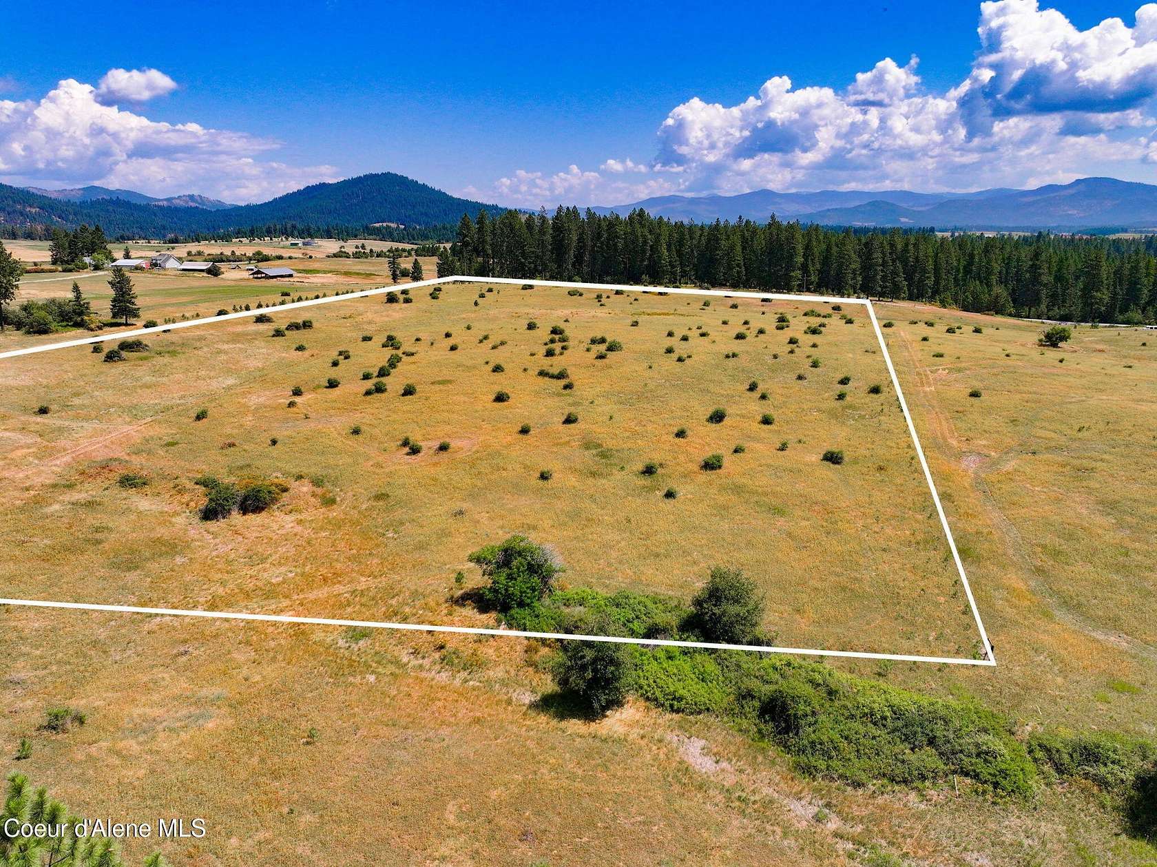 20 Acres of Land for Sale in Harrison, Idaho