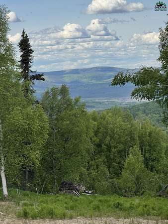 11.7 Acres of Recreational & Residential Land for Sale in Fairbanks, Alaska