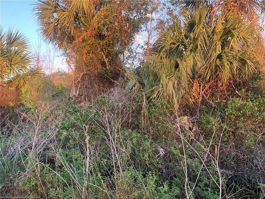 2.5 Acres of Land for Sale in Okeechobee, Florida