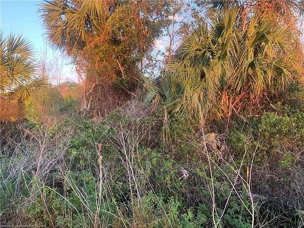 2.5 Acres of Land for Sale in Okeechobee, Florida