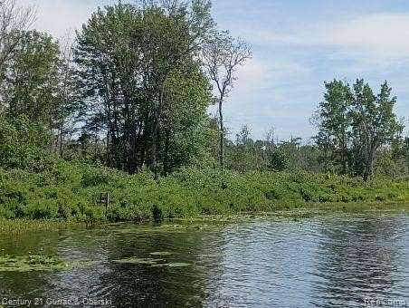 23 Acres of Recreational Land for Sale in Mcmillan Township, Michigan