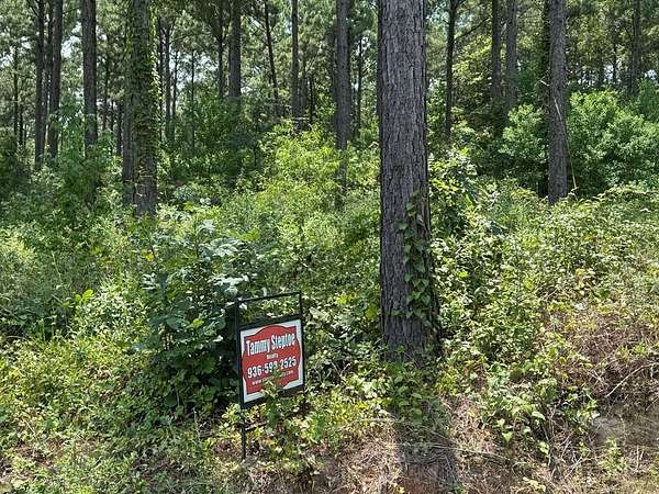 10 Acres of Land for Sale in Center, Texas