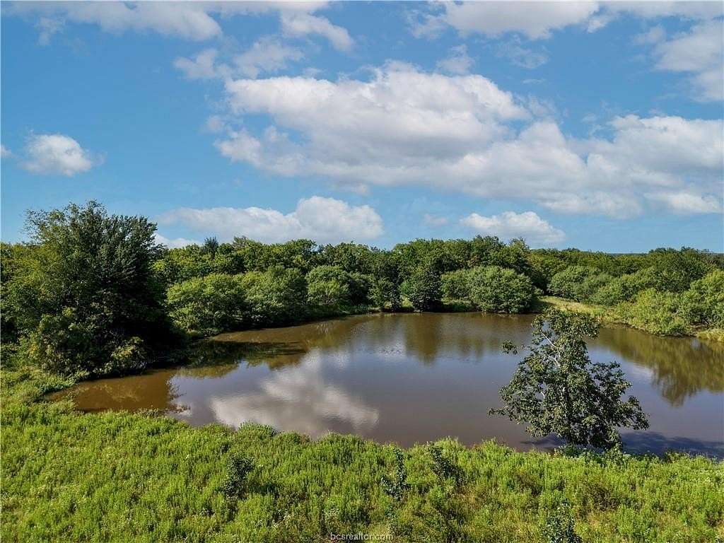 217 Acres of Land for Sale in Iola, Texas