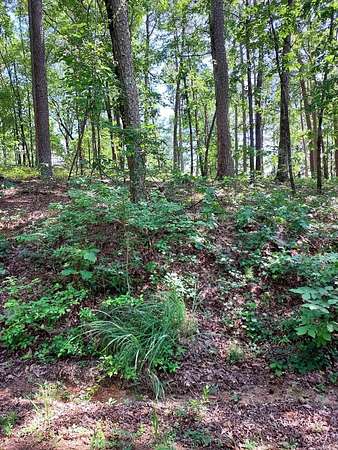 0.31 Acres of Residential Land for Sale in Hot Springs Village, Arkansas