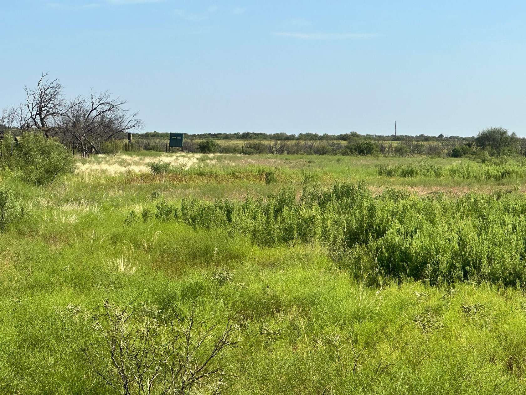162 Acres of Recreational Land for Sale in Matador, Texas