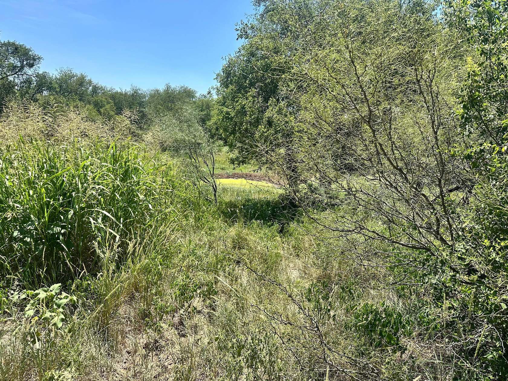 162 Acres of Recreational Land for Sale in Matador, Texas
