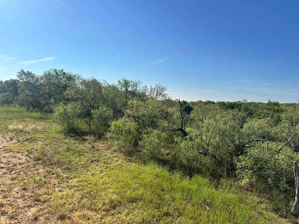 162 Acres of Recreational Land for Sale in Matador, Texas