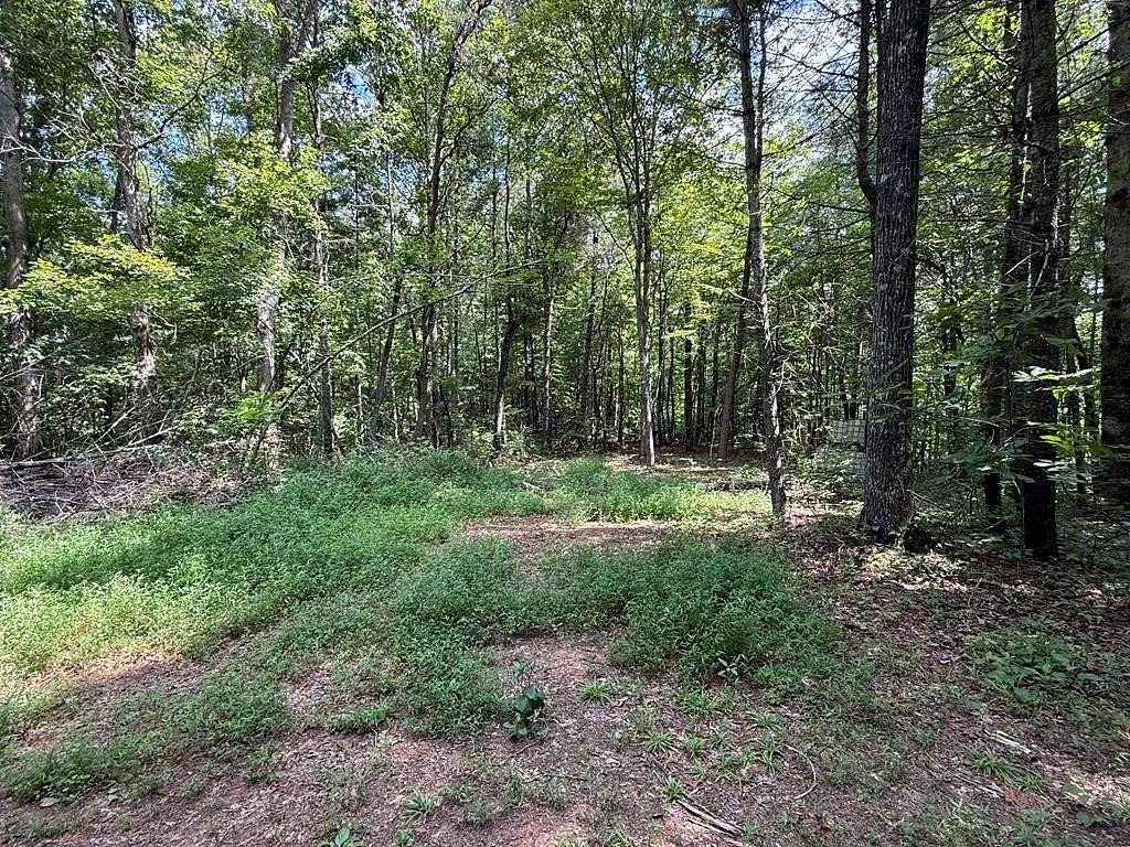2 Acres of Land for Sale in Ellijay, Georgia