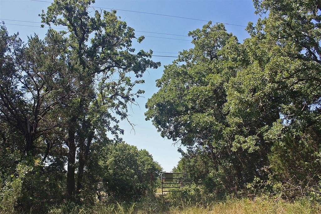 40 Acres of Land for Sale in Bluff Dale, Texas
