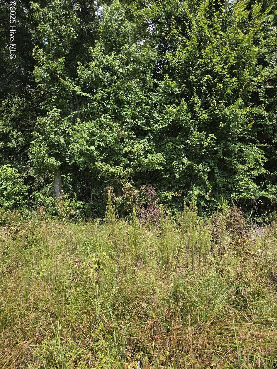 0.95 Acres of Residential Land for Sale in Grifton, North Carolina