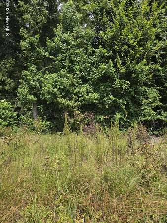 0.95 Acres of Residential Land for Sale in Grifton, North Carolina
