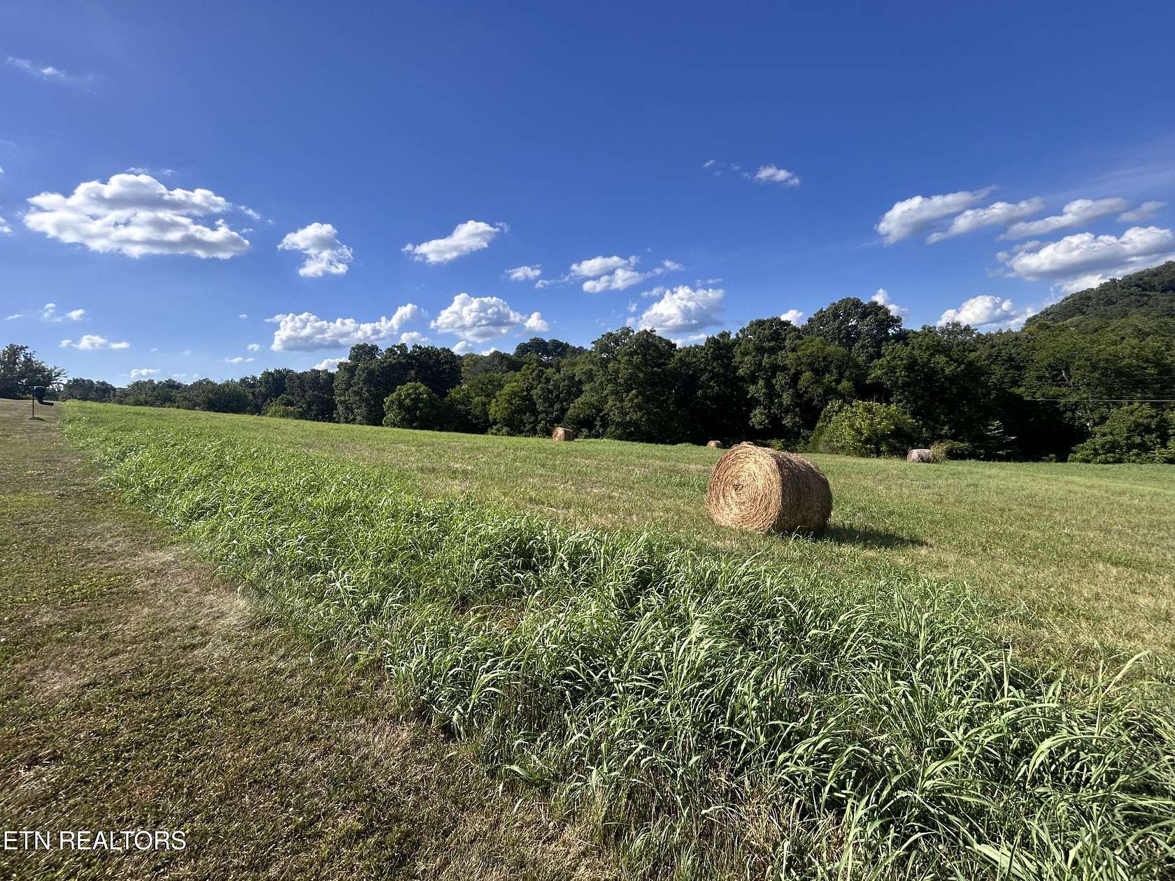 2.42 Acres of Residential Land for Sale in Blaine, Tennessee