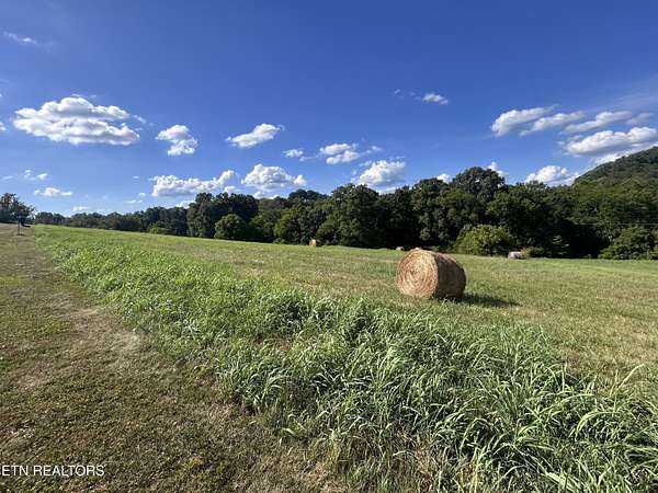 2.42 Acres of Residential Land for Sale in Blaine, Tennessee