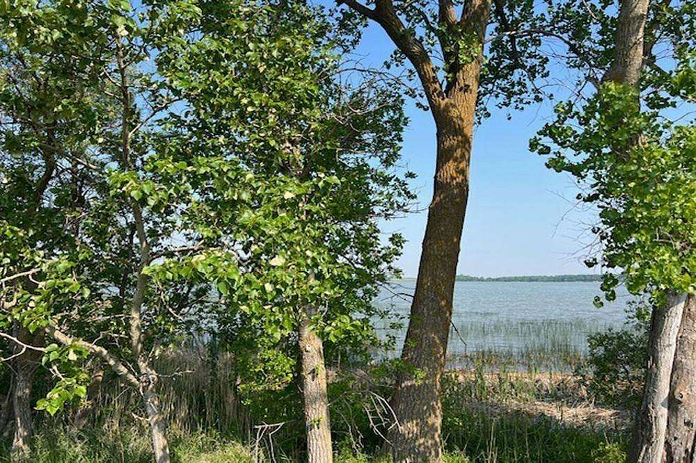 5 Acres of Land for Sale in Erskine, Minnesota