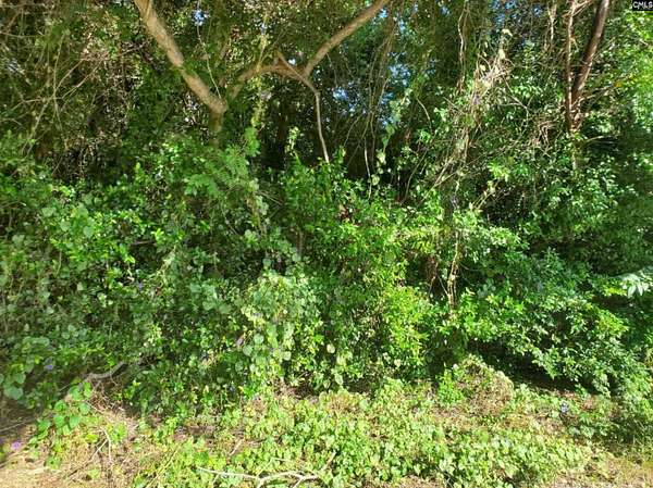 0.14 Acres of Residential Land for Sale in Orangeburg, South Carolina