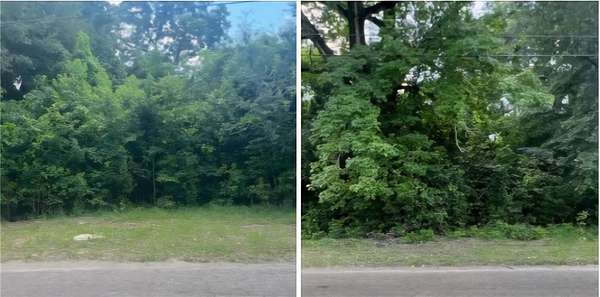 0.26 Acres of Residential Land for Sale in Mobile, Alabama
