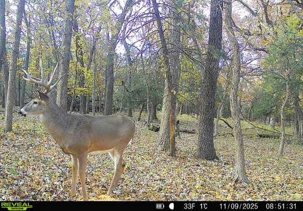 644 Acres of Recreational Land for Sale in Manhattan, Kansas