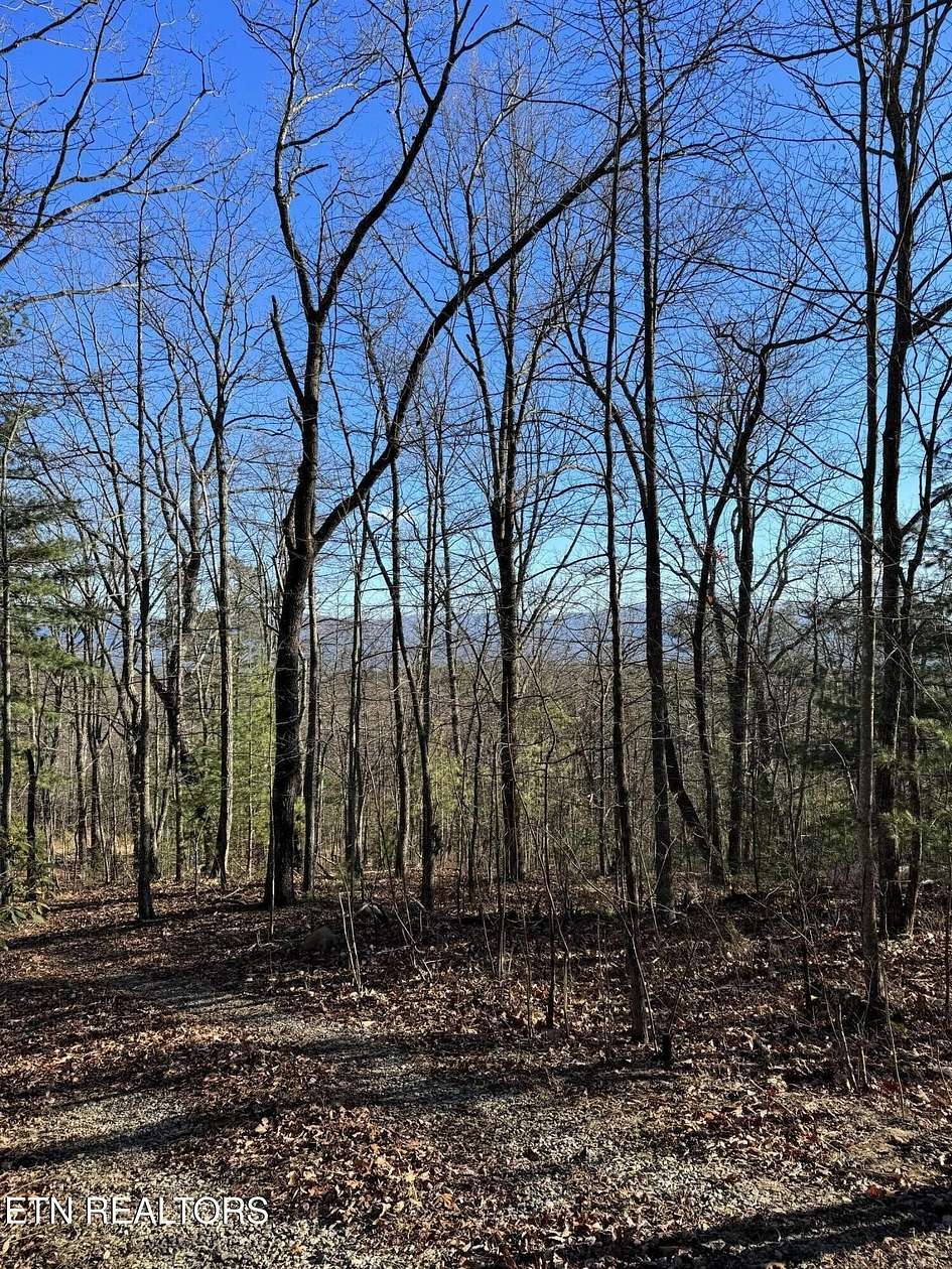 0.99 Acres of Residential Land for Sale in Tallassee, Tennessee