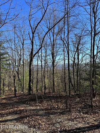 0.99 Acres of Residential Land for Sale in Tallassee, Tennessee