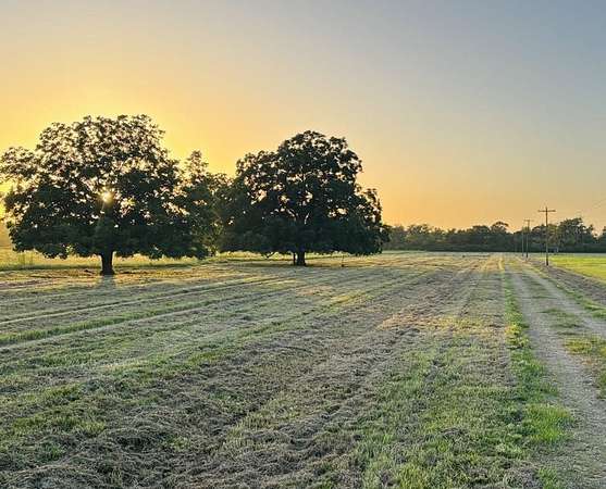 11 Acres of Land for Sale in Van Vleck, Texas