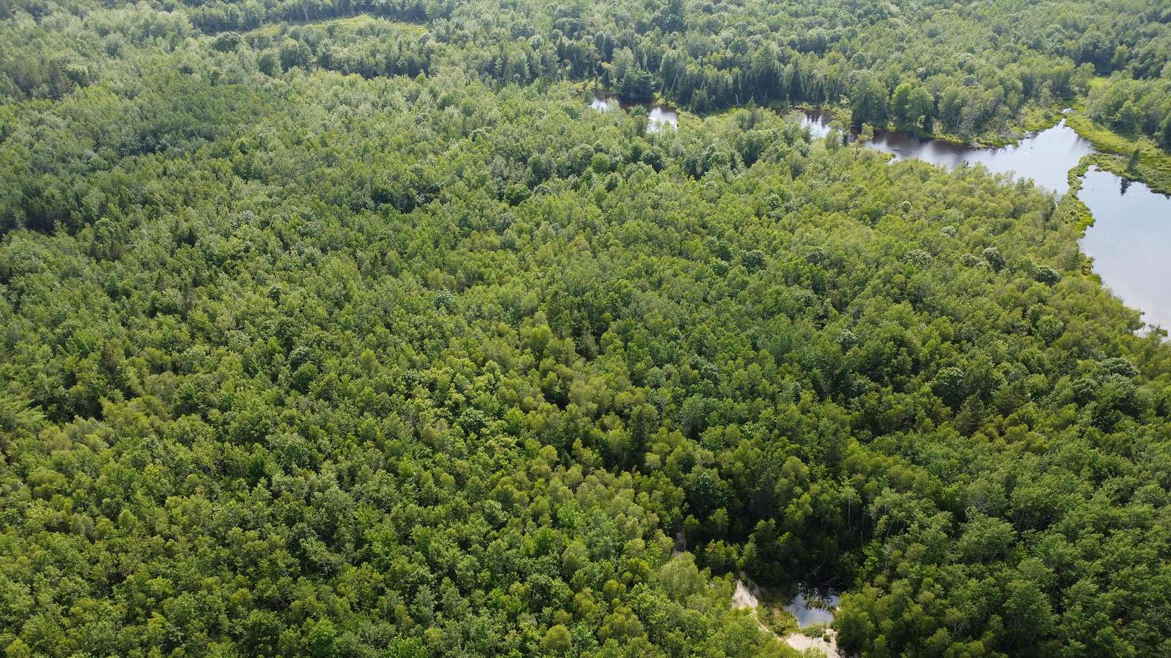 15.3 Acres of Recreational Land for Sale in Cherryfield, Maine