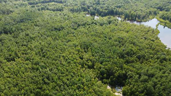 15.3 Acres of Recreational Land for Sale in Cherryfield, Maine