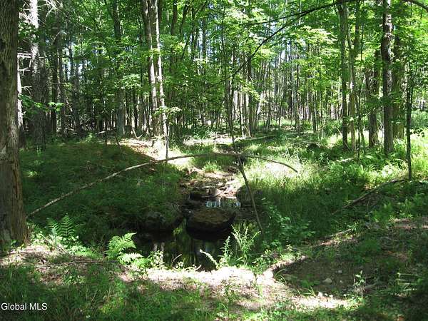 159 Acres of Recreational Land for Sale in Adirondack, New York
