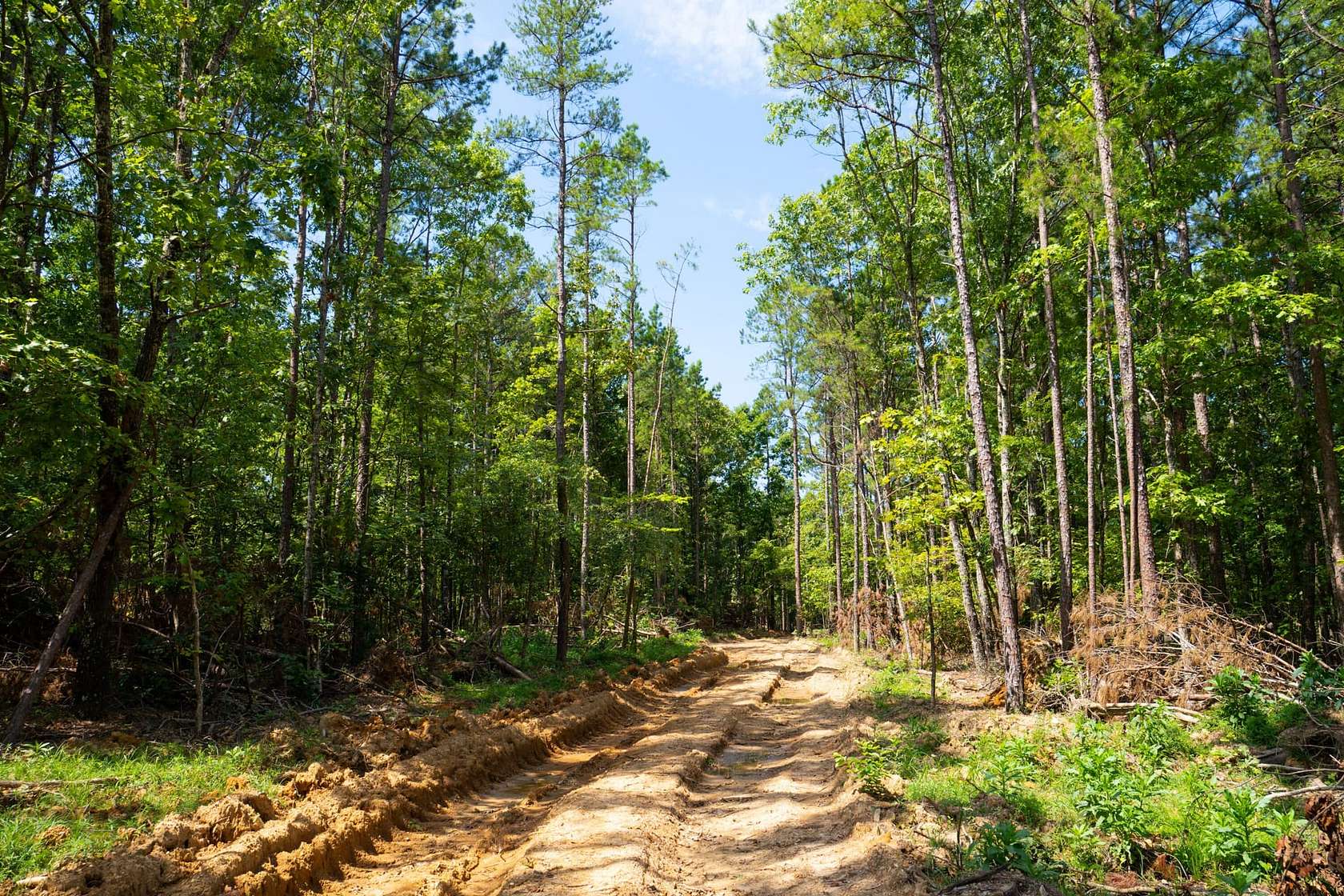 69.2 Acres of Recreational Land & Farm for Sale in Grandin, Missouri